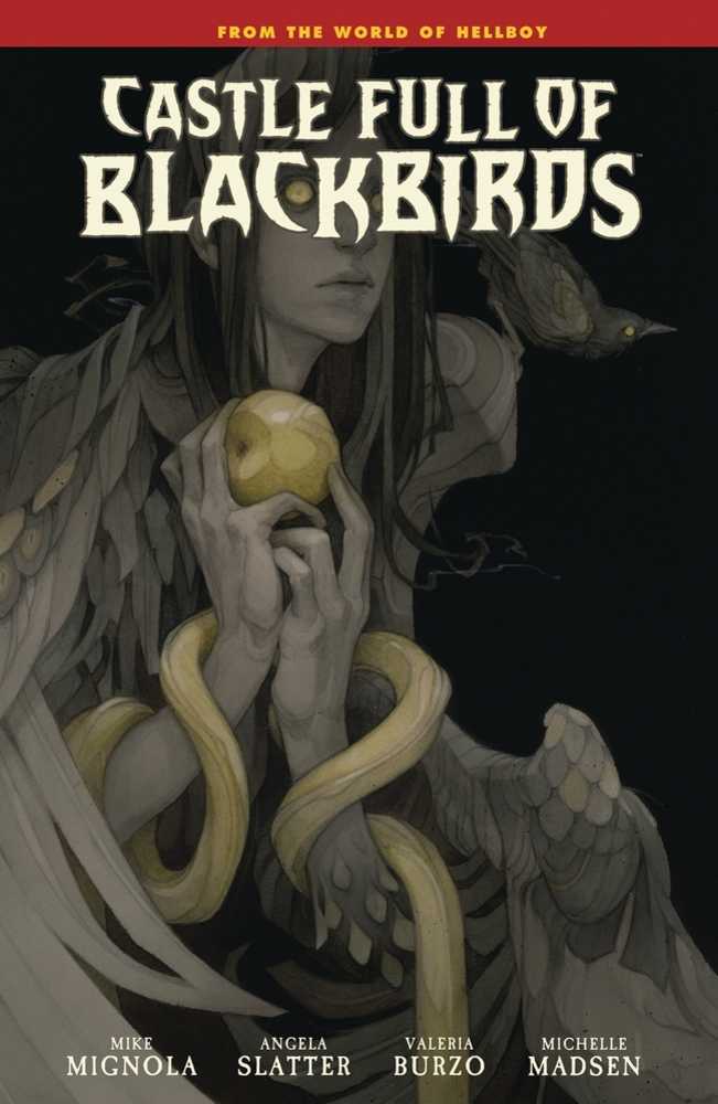 Castle Full Of Blackbirds Hardcover