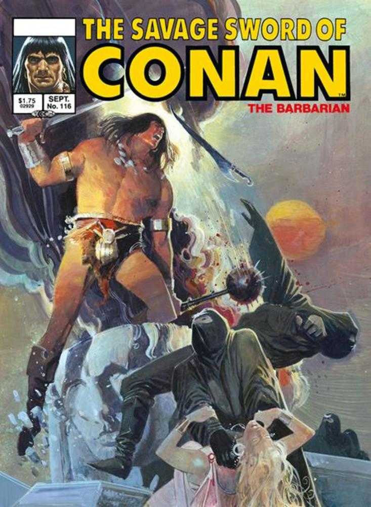 Savage Sword Of Conan Original Comics Omnibus Volume 08 Direct Market Edition Bill Sienkiewicz Cover (Mature)
