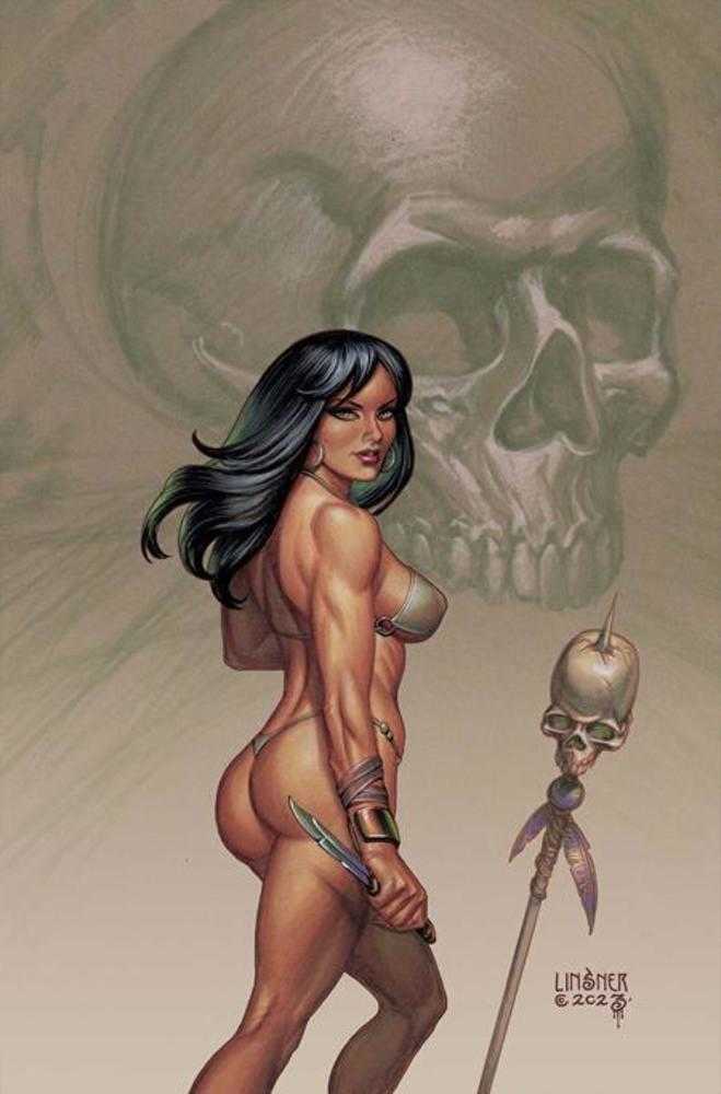 Fire And Ice #5 Cover D Joseph Michael Linsner Limited Full Art Variant