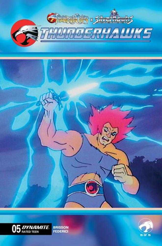 Thundercats X Silverhawks Thunderhawks #5 Cover E Animation Art Variant