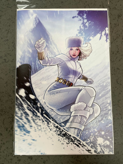 Thunderbolts #1 1:50 Copy Variant Edition Werneck Ski Chalet Virgin Variant