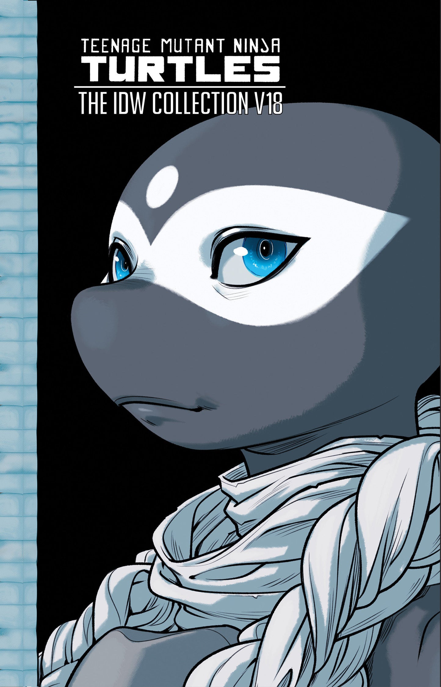 Teenage Mutant Ninja Turtles: The Idw Collection, Volume 18