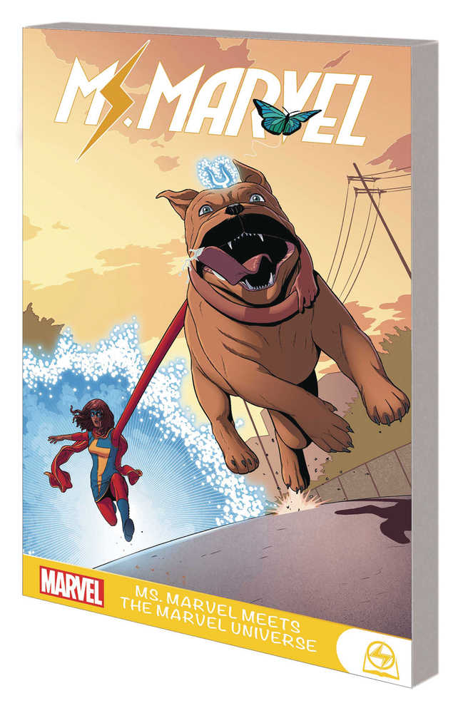 Ms Marvel Meets Marvel Universe Graphic Novel TPB