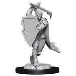 D&D Minis: Wave 13 - Warforged Fighter Male