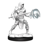 D&D Minis: Wave 13 - Multiclass Fighter + Wizard Male