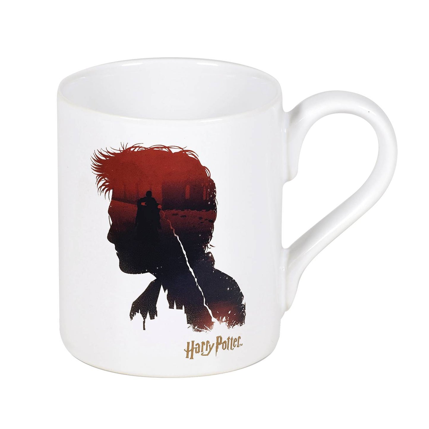 HARRY POTTER GOOD VS EVIL MUG