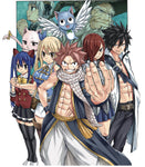 Fairy Tail 100 Years Quest Volume 08