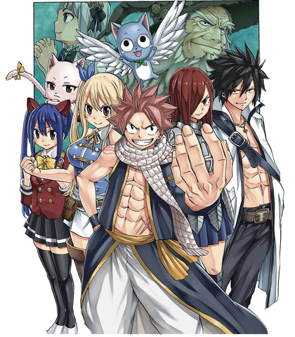 Fairy Tail 100 Years Quest Volume 08